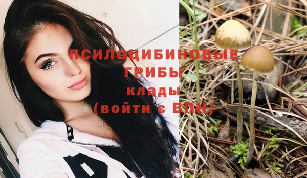 меф Ладушкин