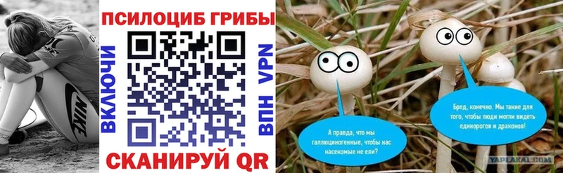 Галлюциногенные грибы мицелий  Купить  Кедровый 